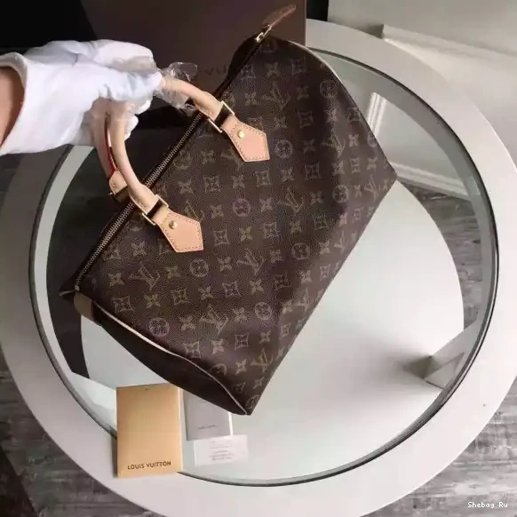 35 Louis Vuitton speedy 0615